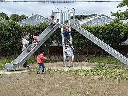 たくさん遊んでます🌼