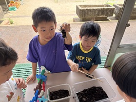 カブトムシになったよ