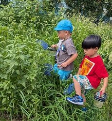 ２学期にむけて…先生からのメッセージ